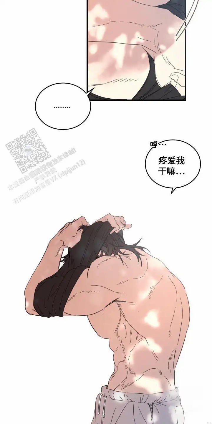 15.jpg