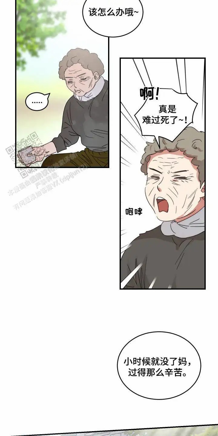 19.jpg
