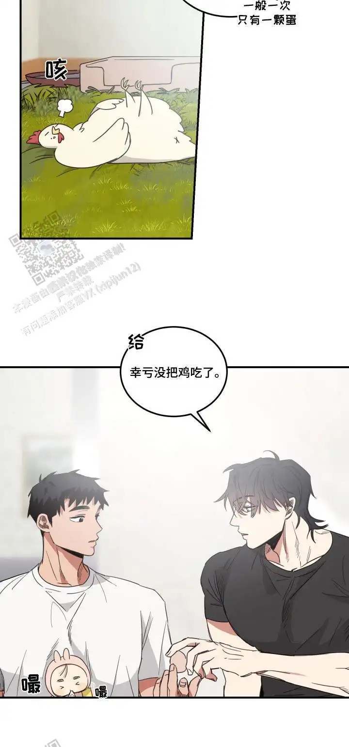 20.jpg