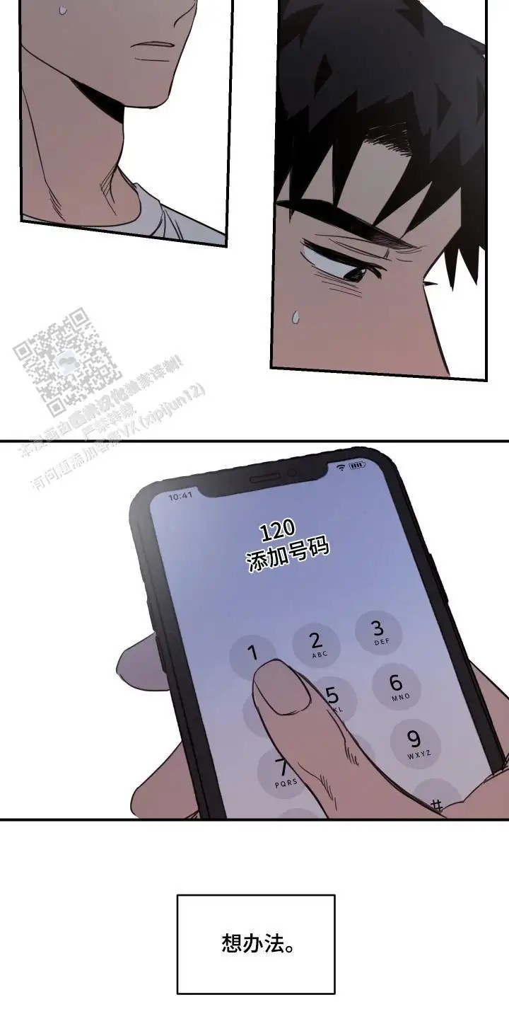 15.jpg