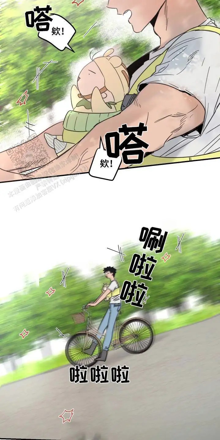 6.jpg