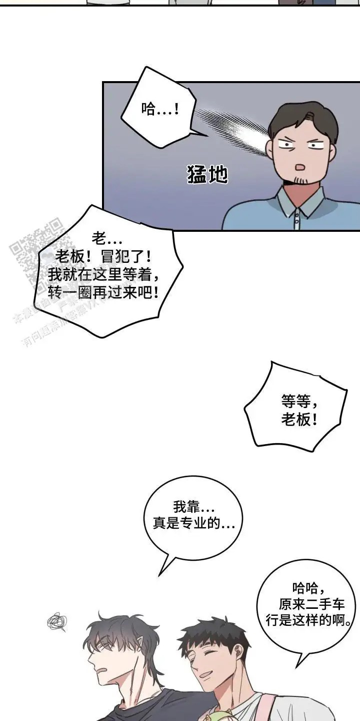 11.jpg