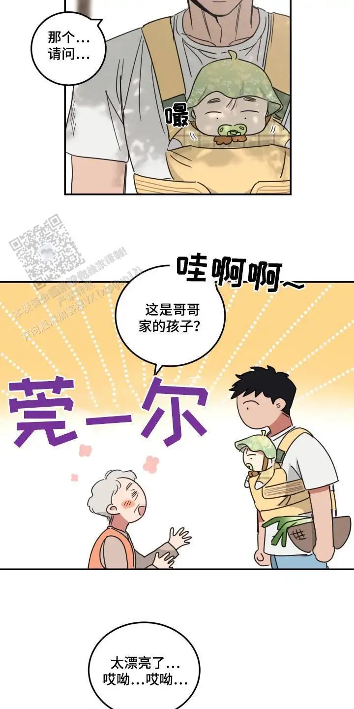 14.jpg