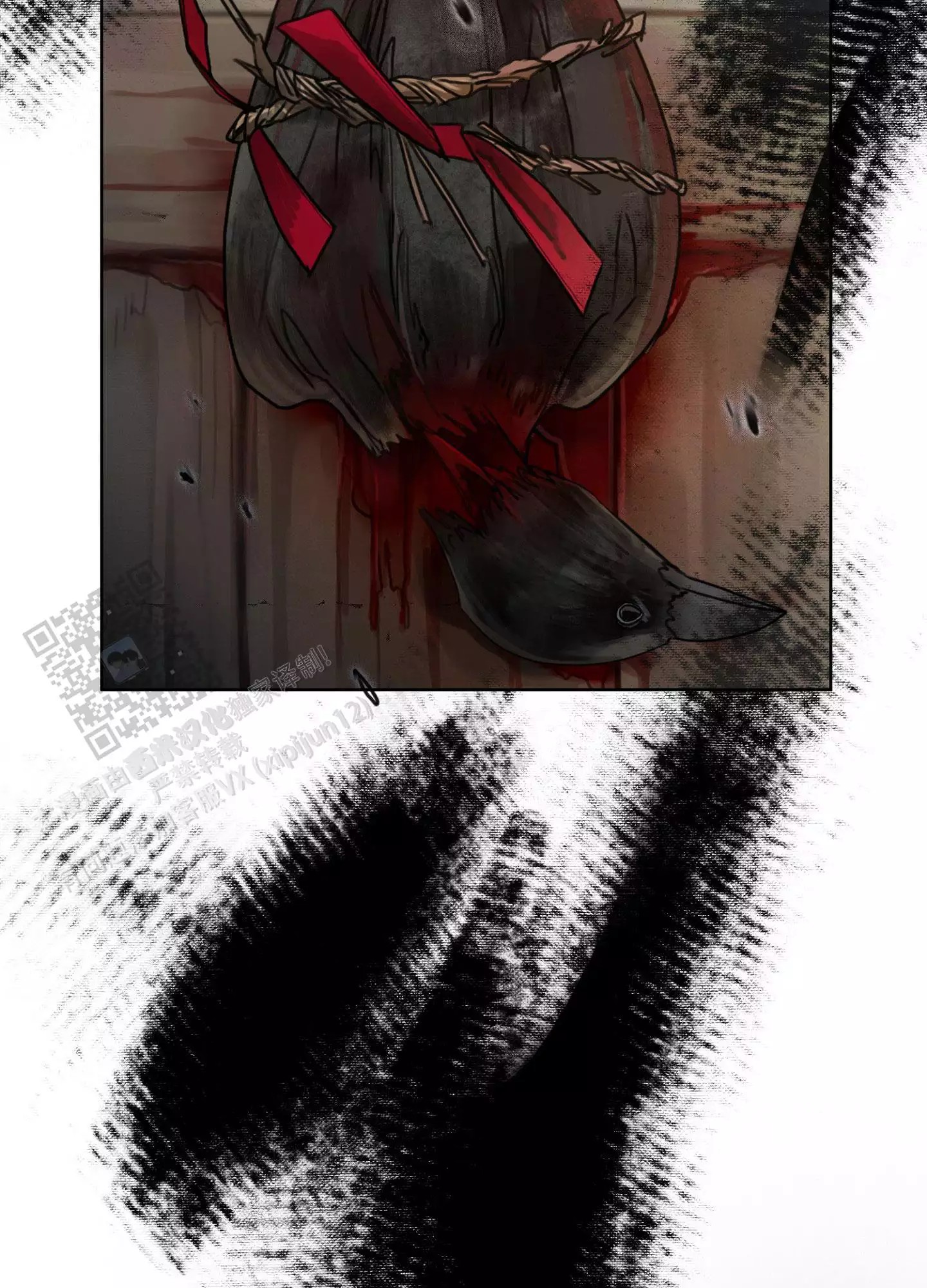 33.jpg