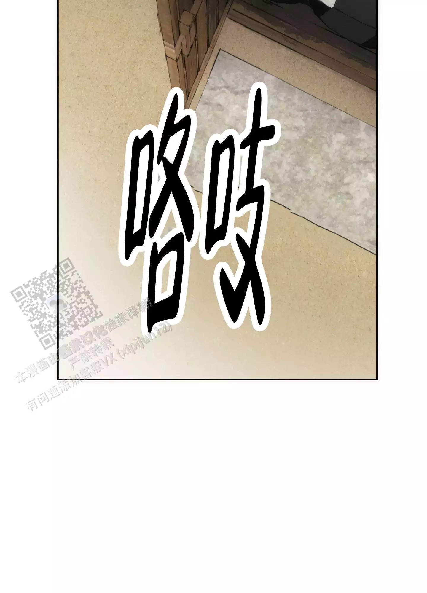 41.jpg