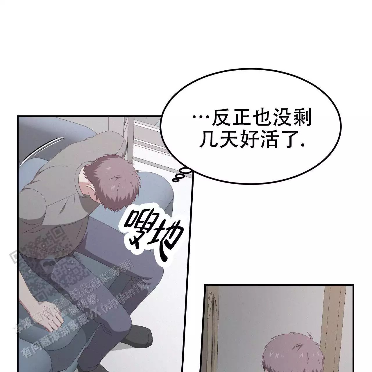 41.jpg