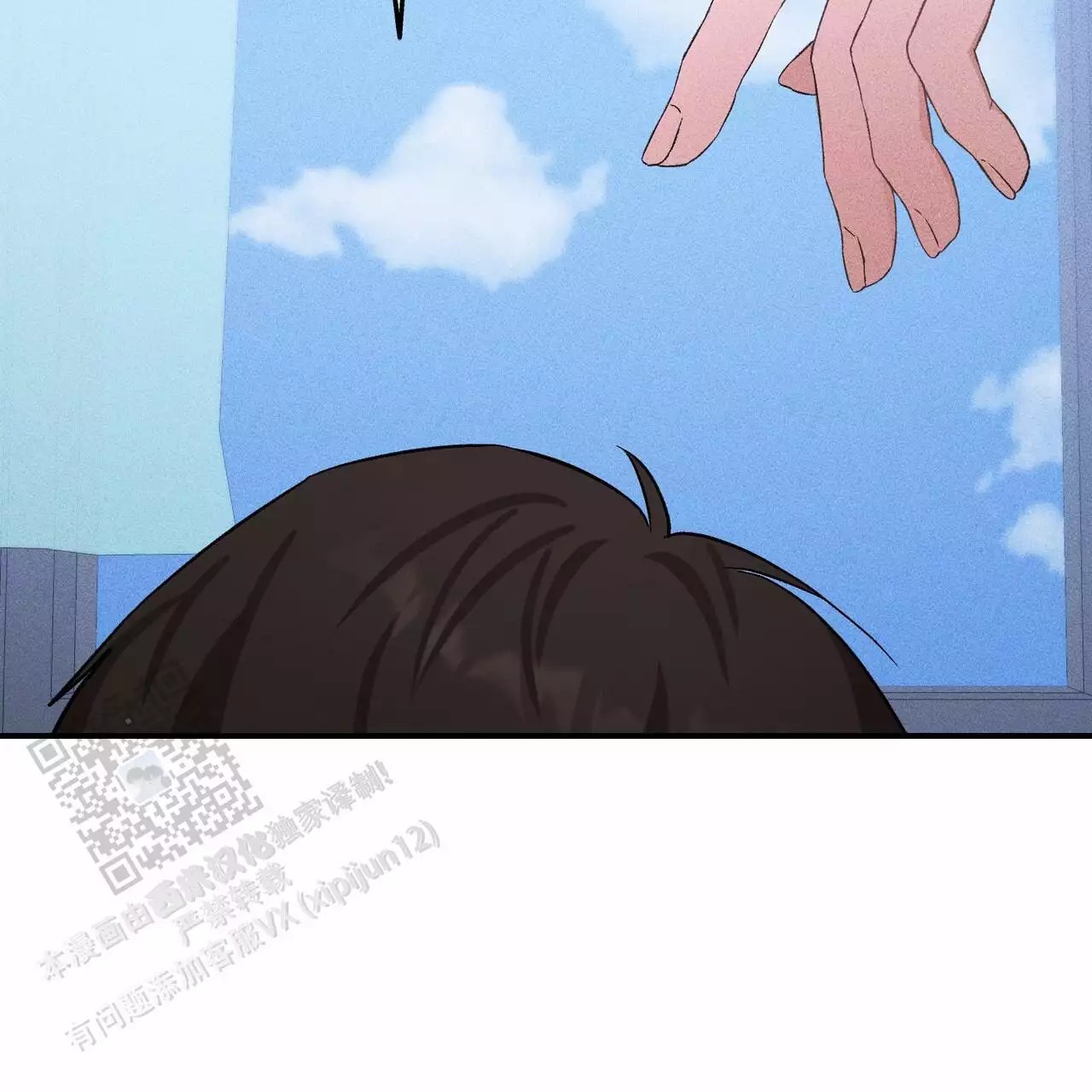41.jpg