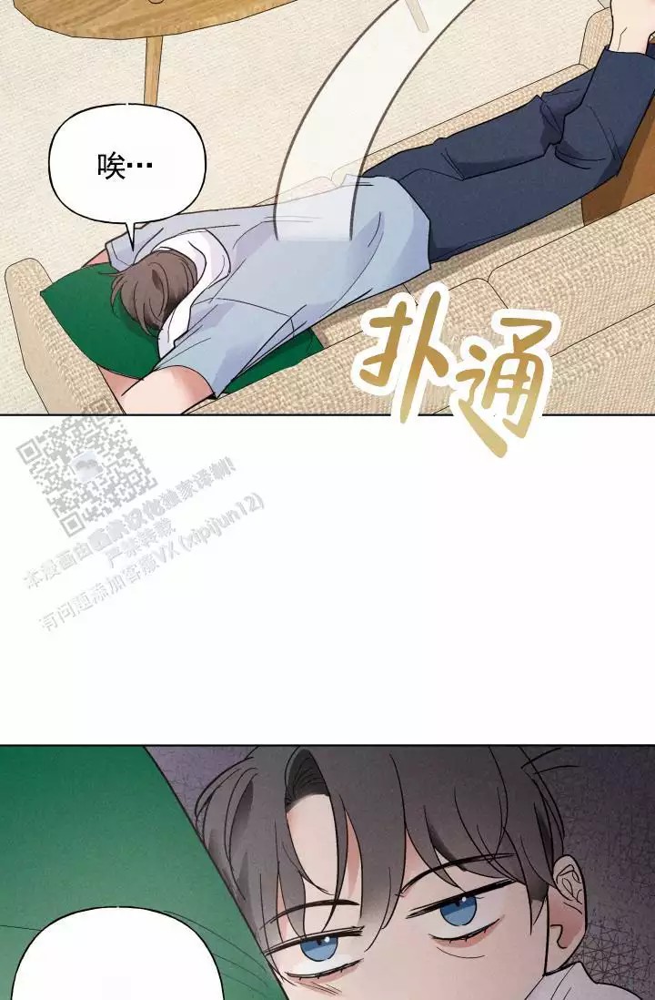 33.jpg