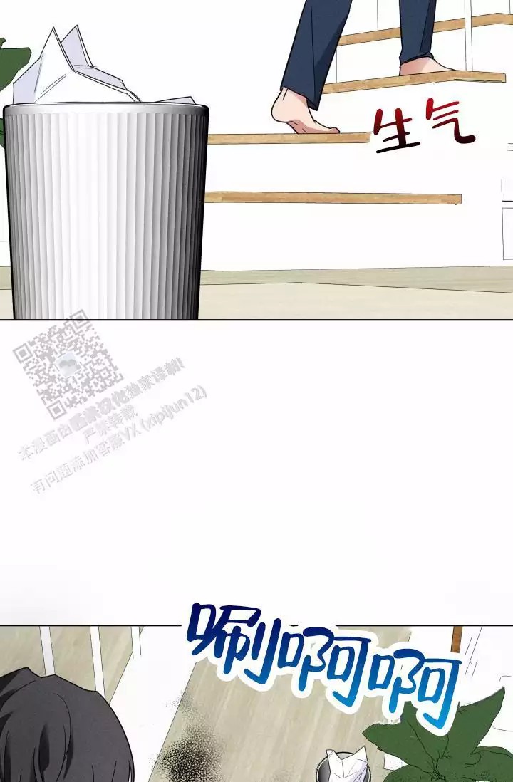 43.jpg