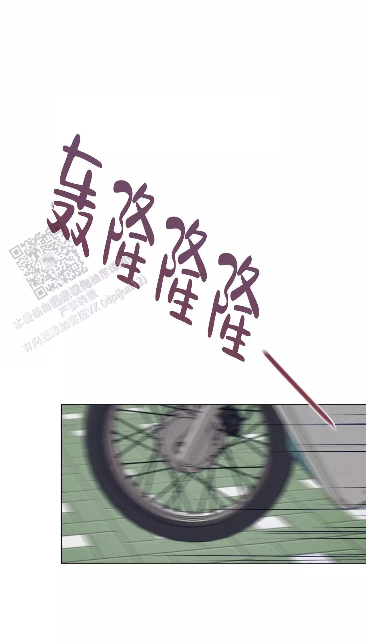29.jpg