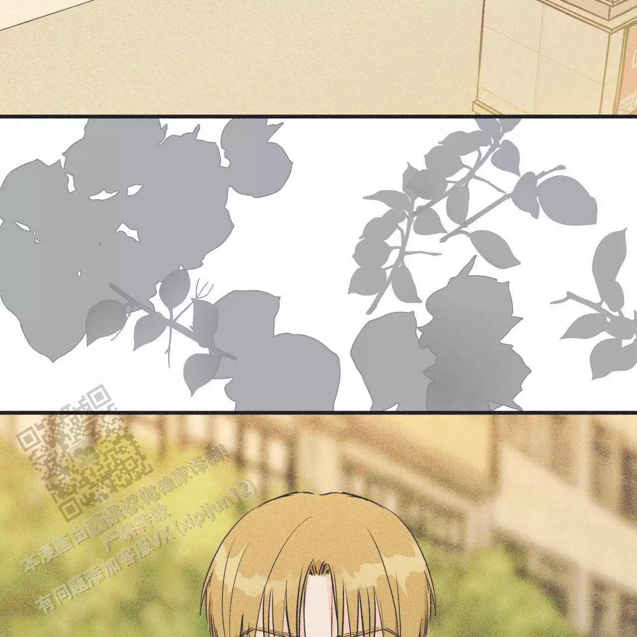 40.jpg