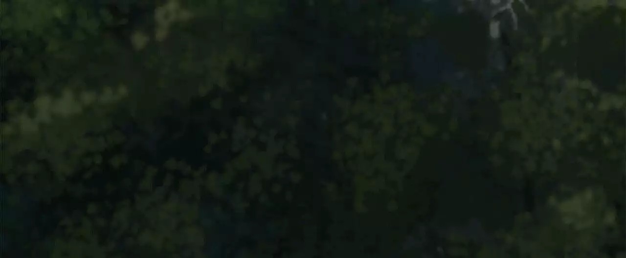 47.jpg