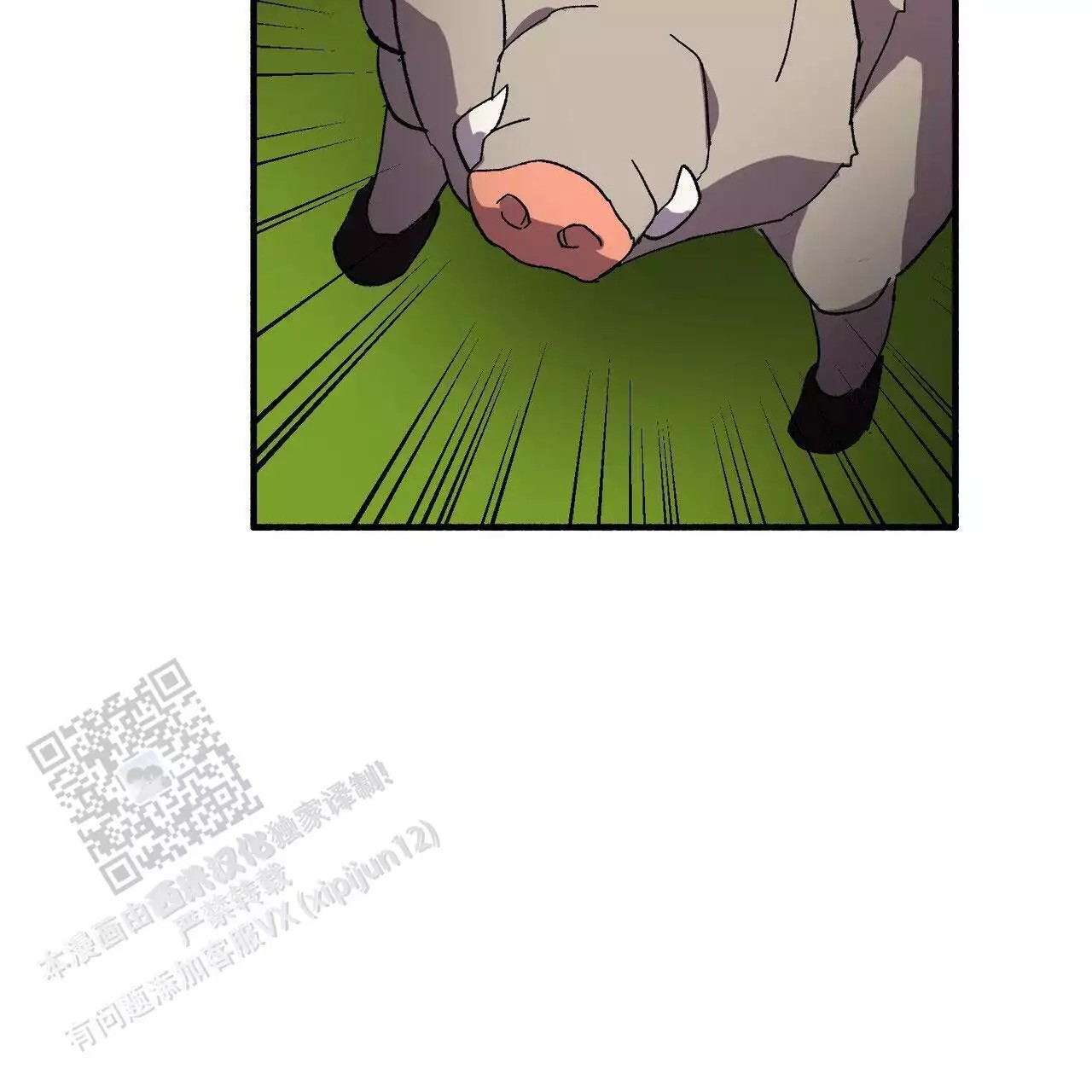 73.jpg