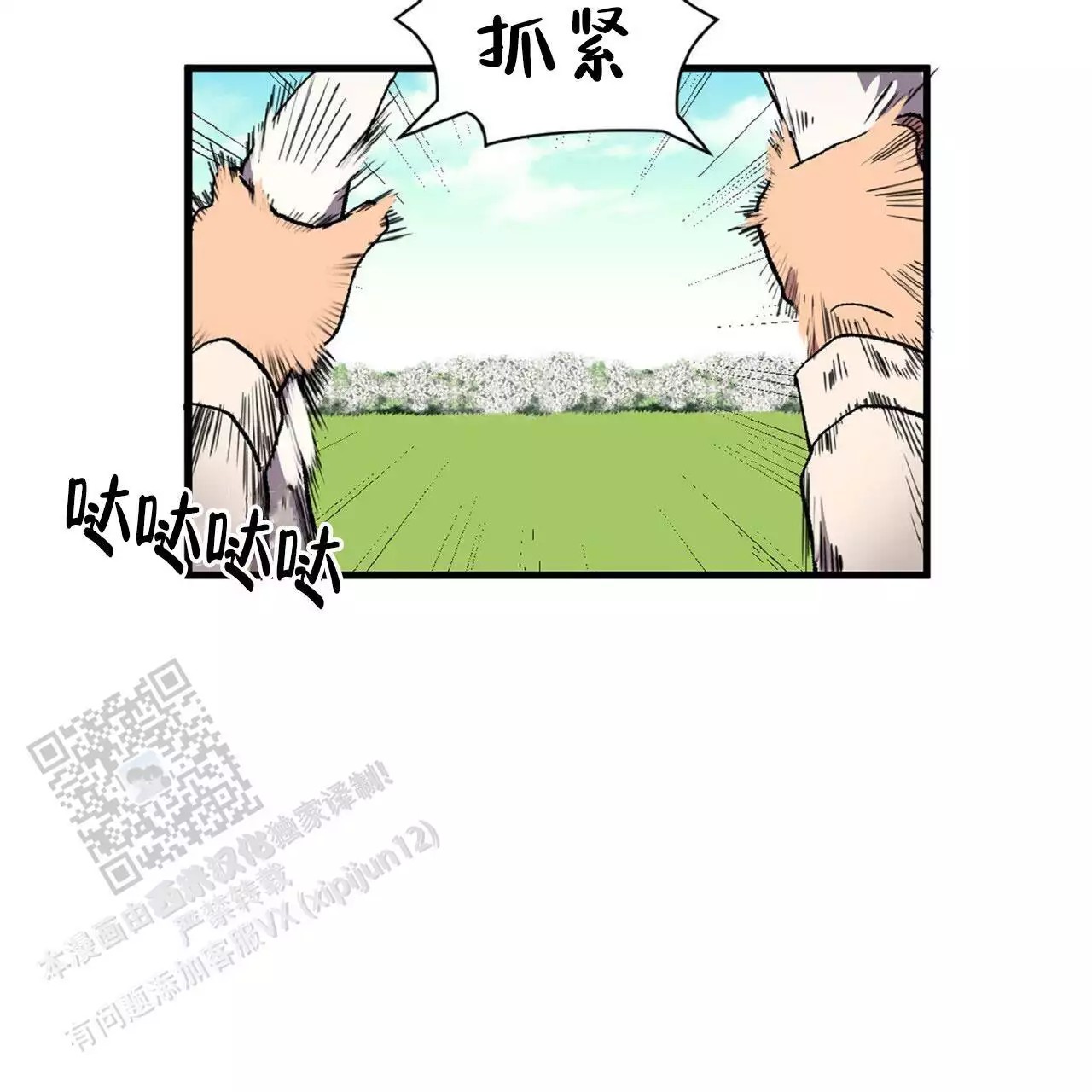31.jpg