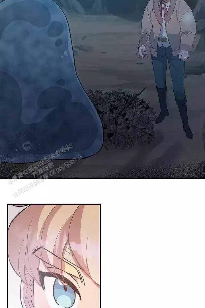 27.jpg