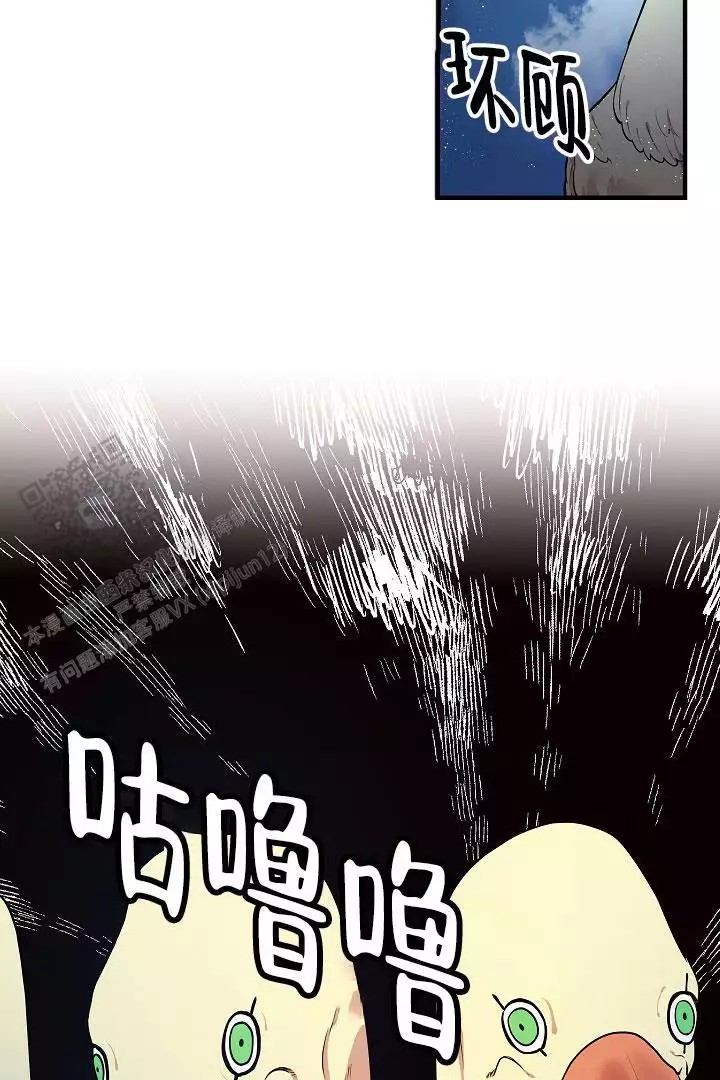 40.jpg