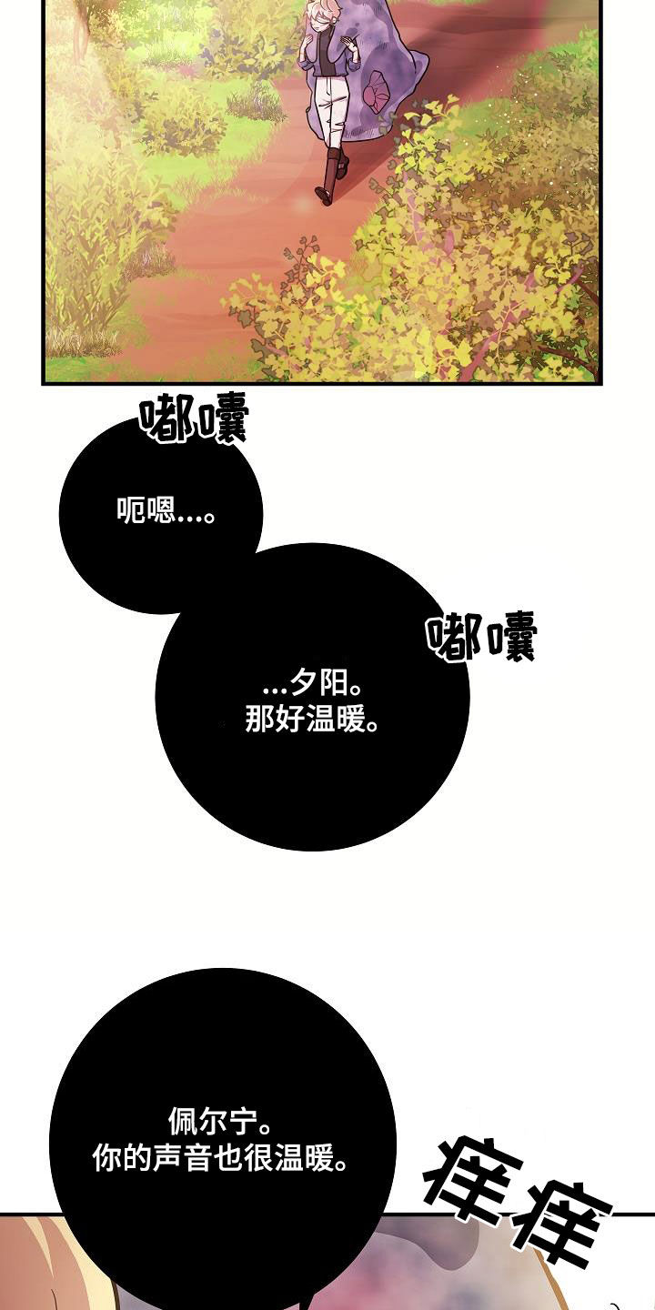 13.jpg