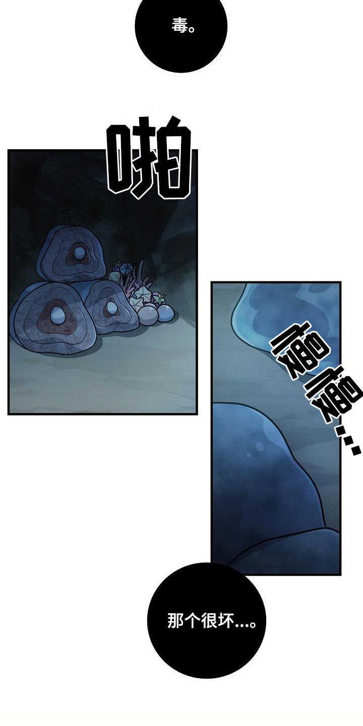 20.jpg