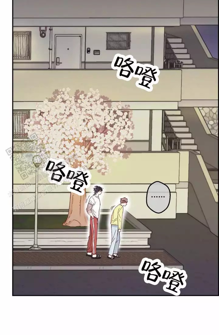 35.jpg