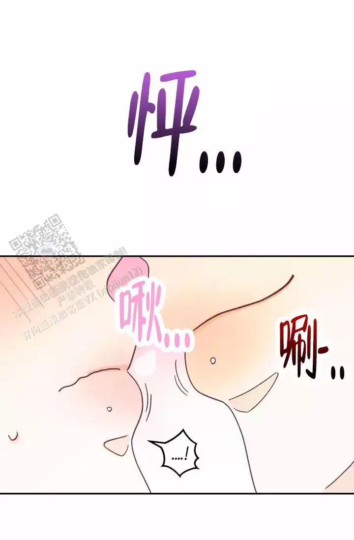 45.jpg