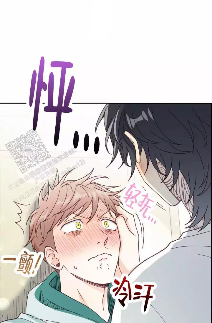 40.jpg