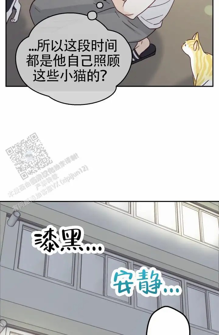 27.jpg