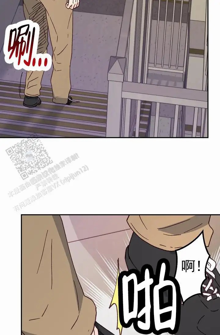 48.jpg