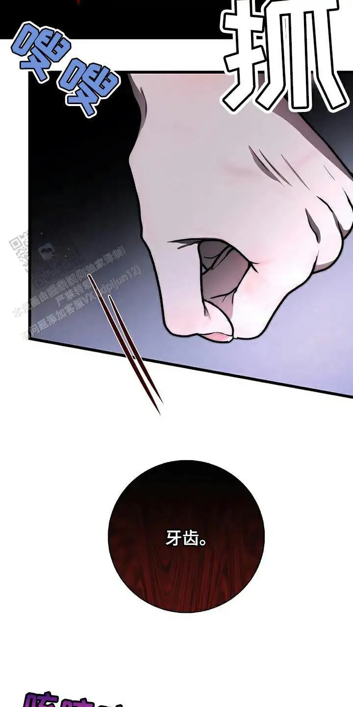 22.jpg
