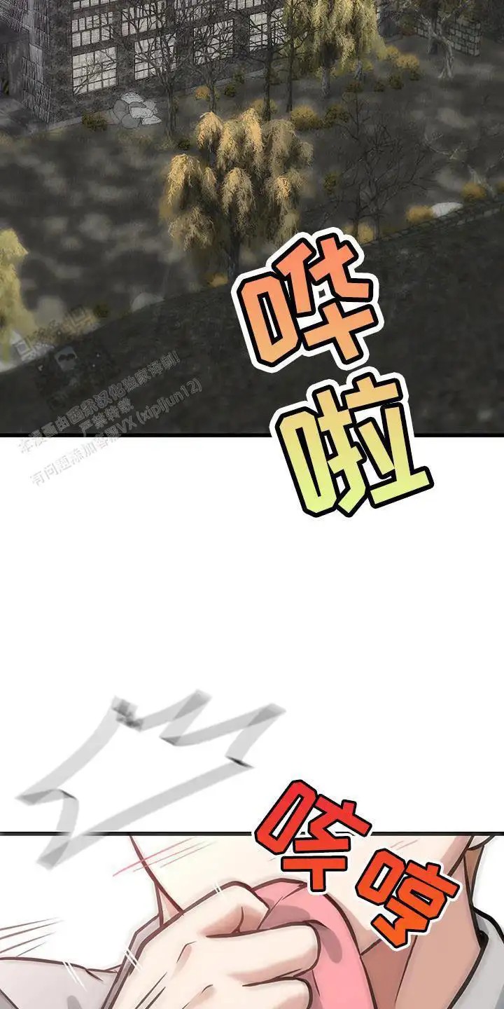 27.jpg