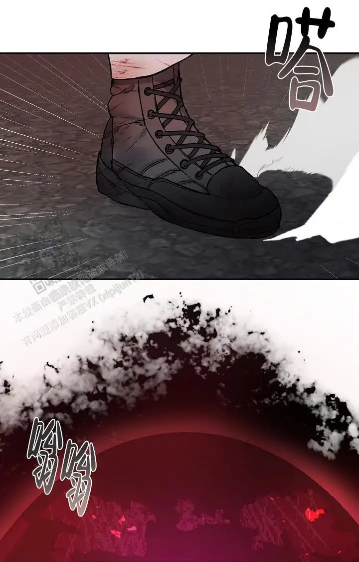 24.jpg