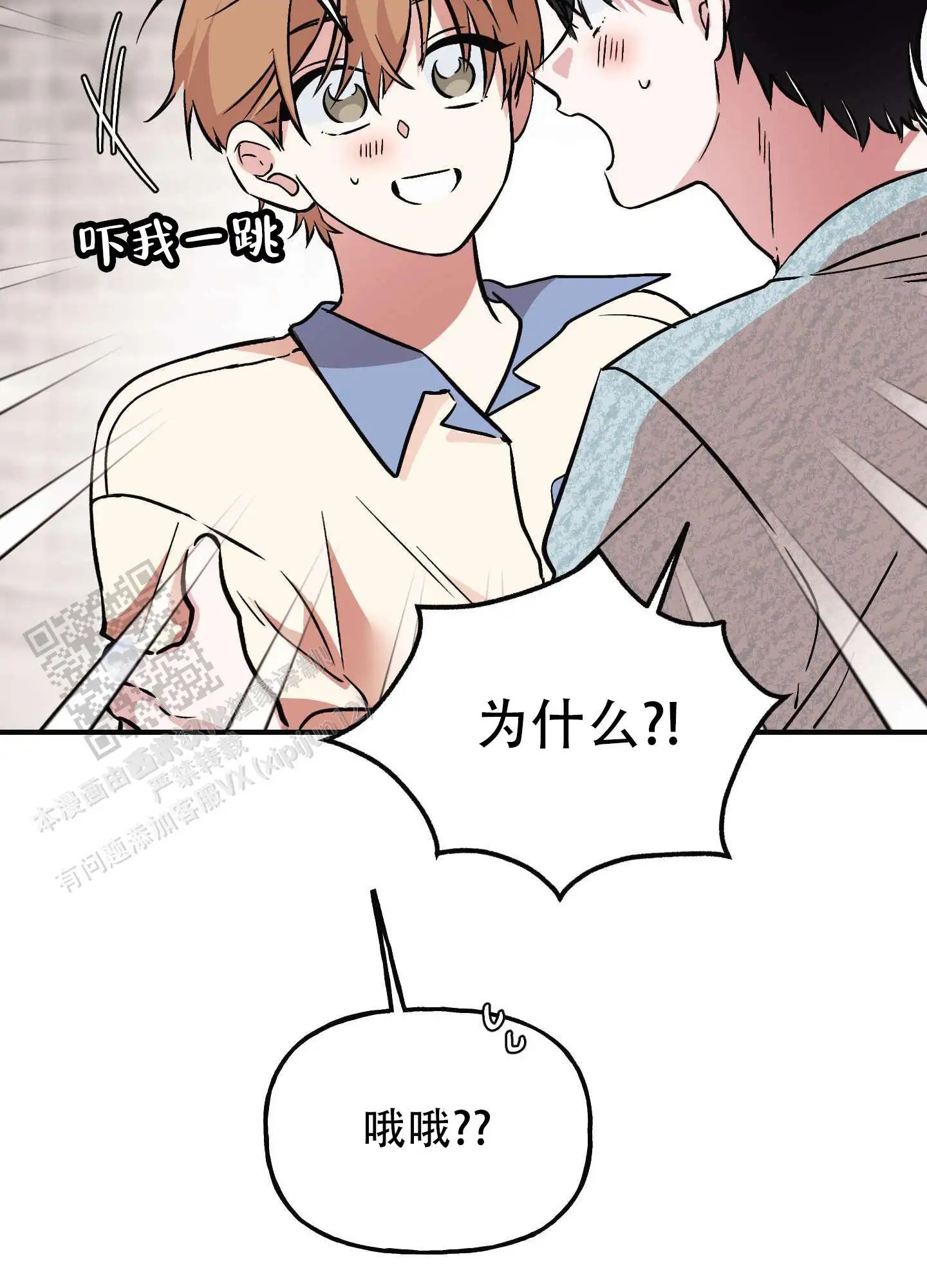 41.jpg