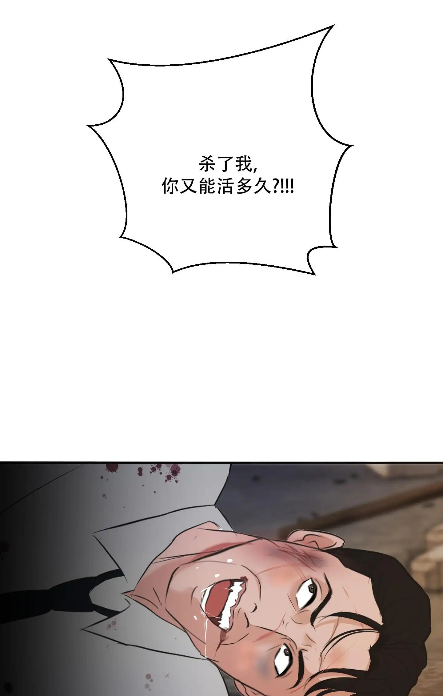 49.jpg