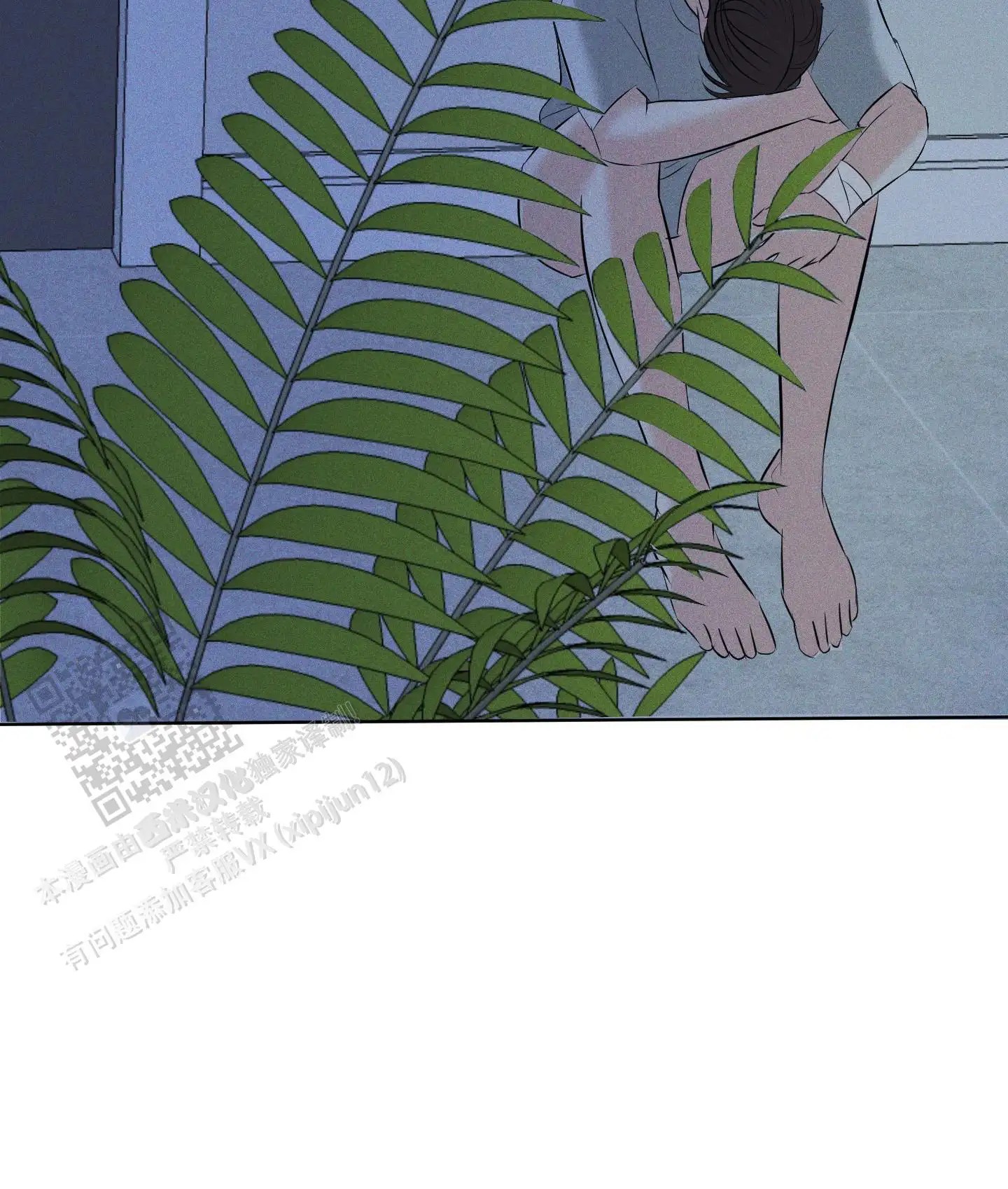 27.jpg