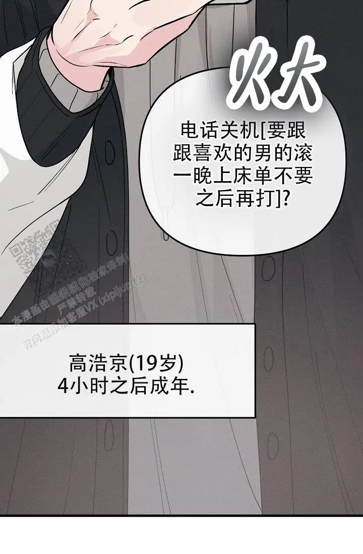 19.jpg