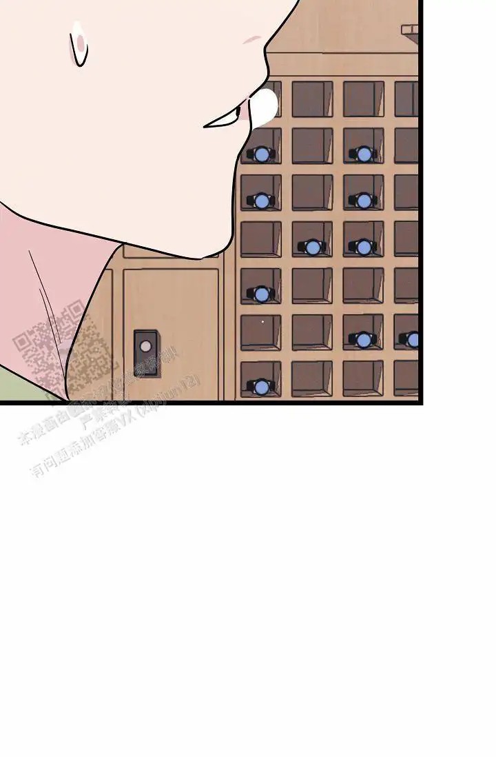 56.jpg