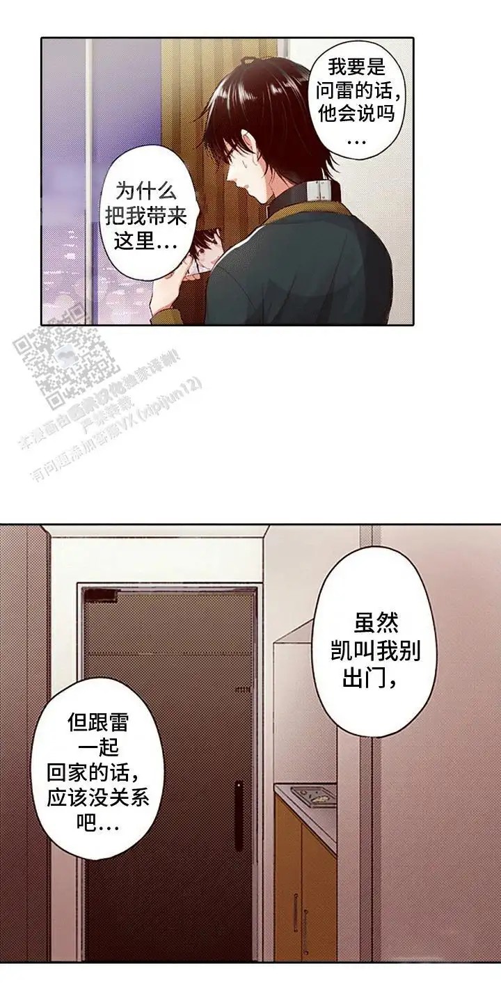 16.jpg