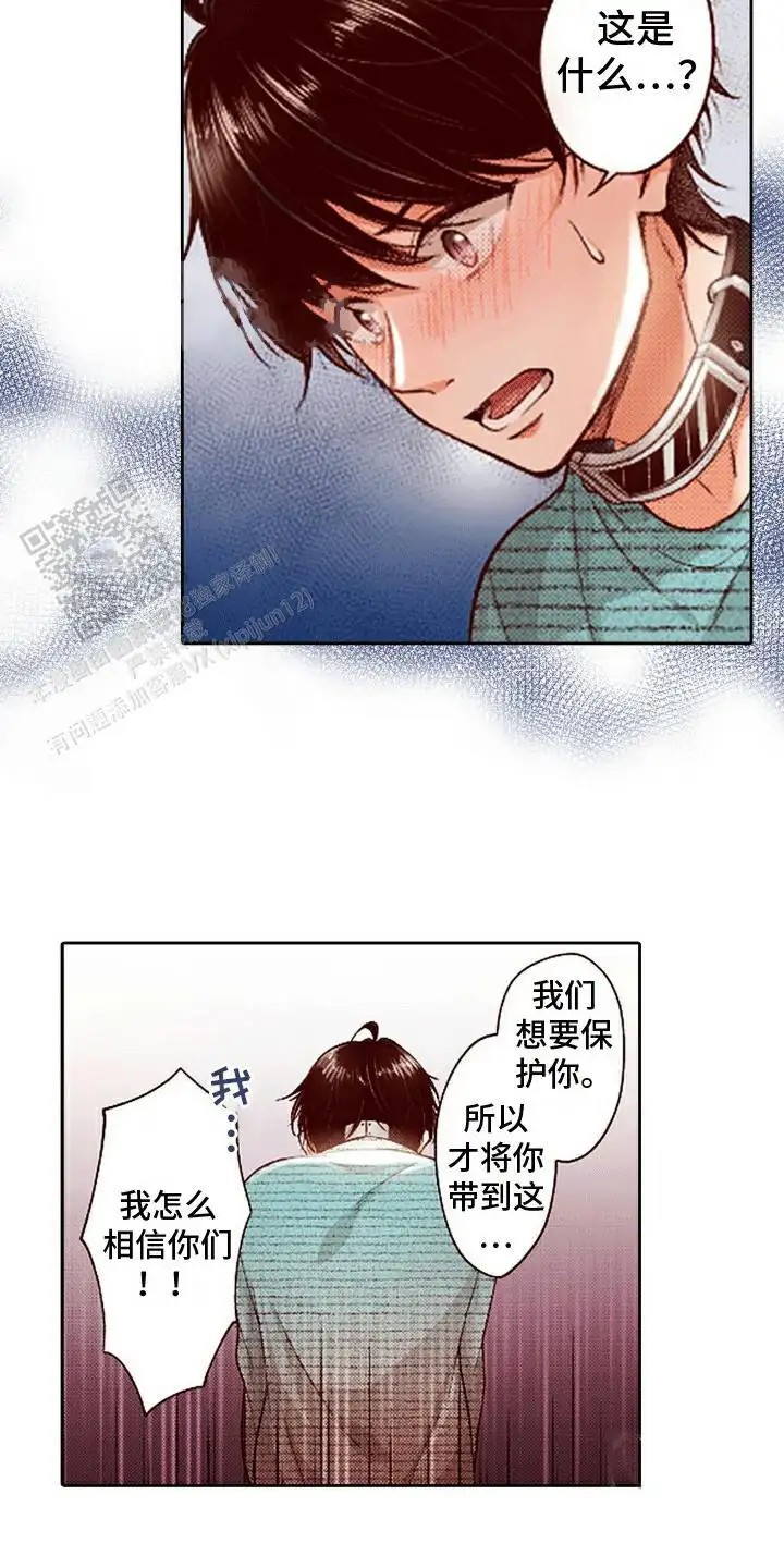 18.jpg