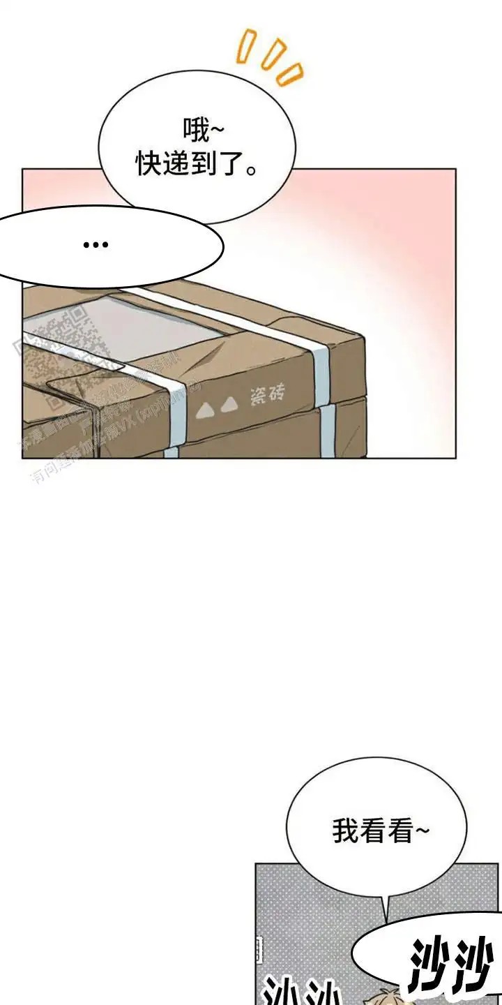 26.jpg
