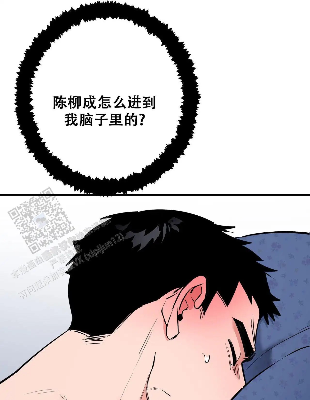 51.jpg