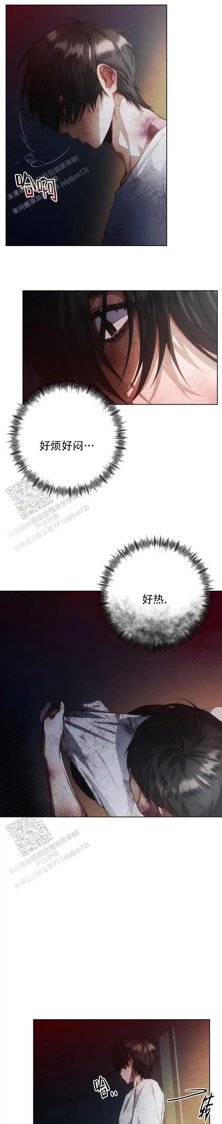 12.jpg