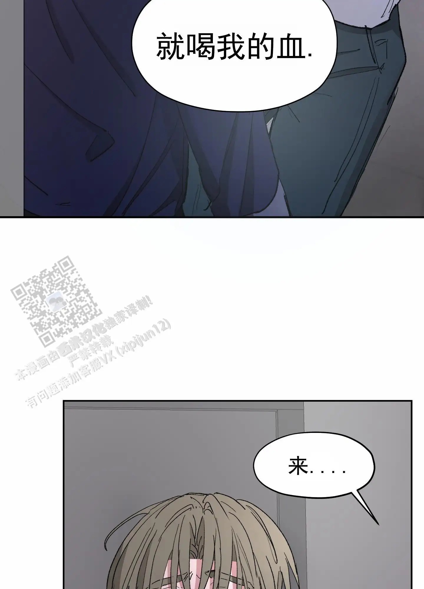 41.jpg