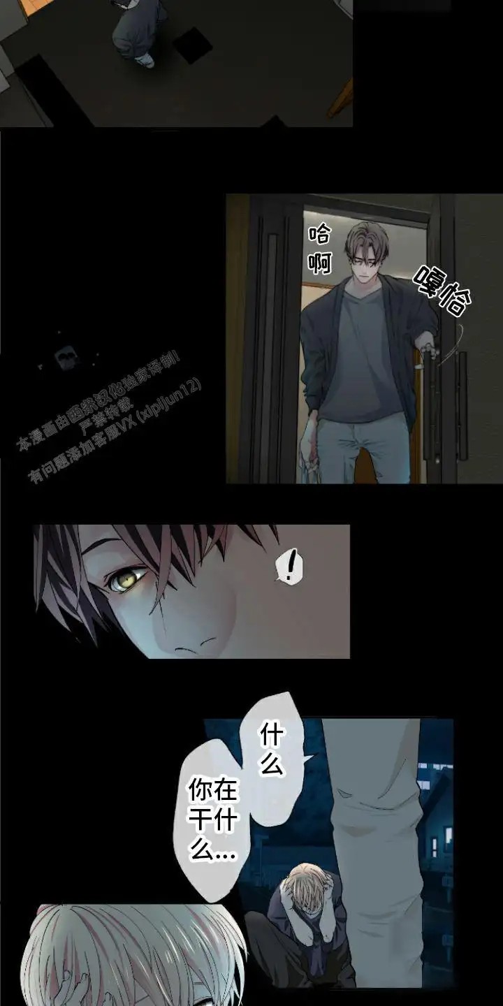 10.jpg