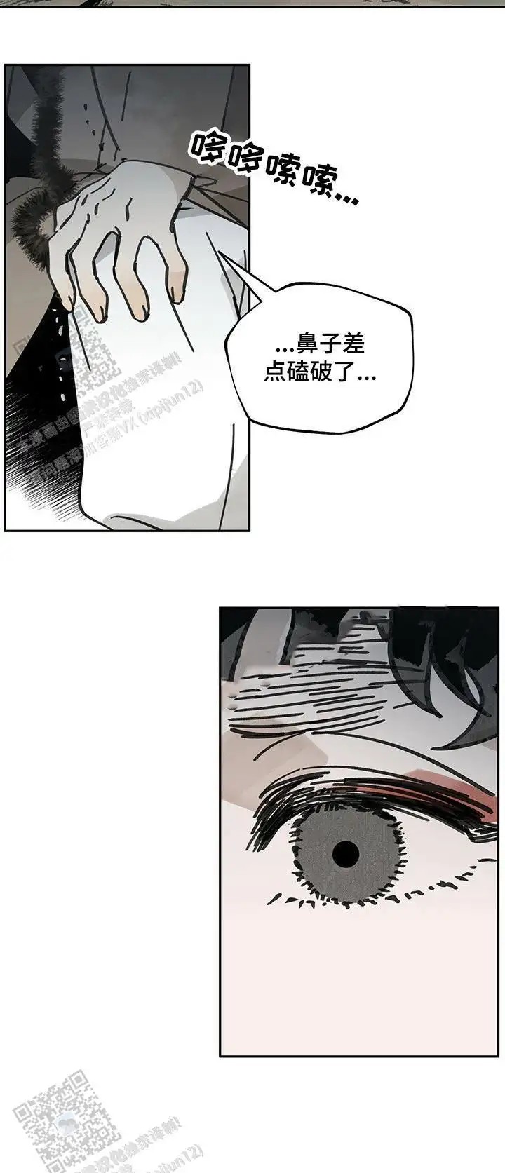 12.jpg