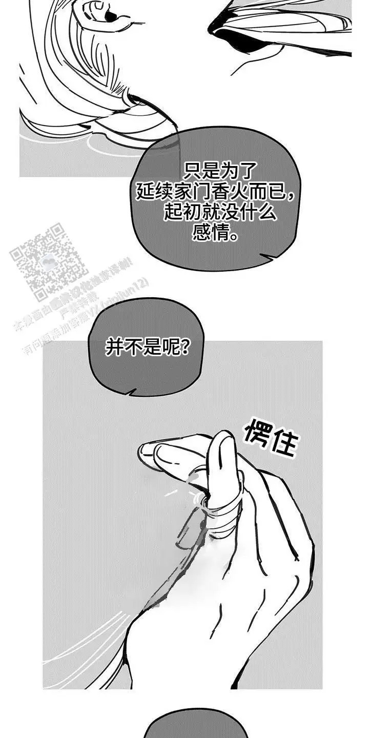 13.jpg