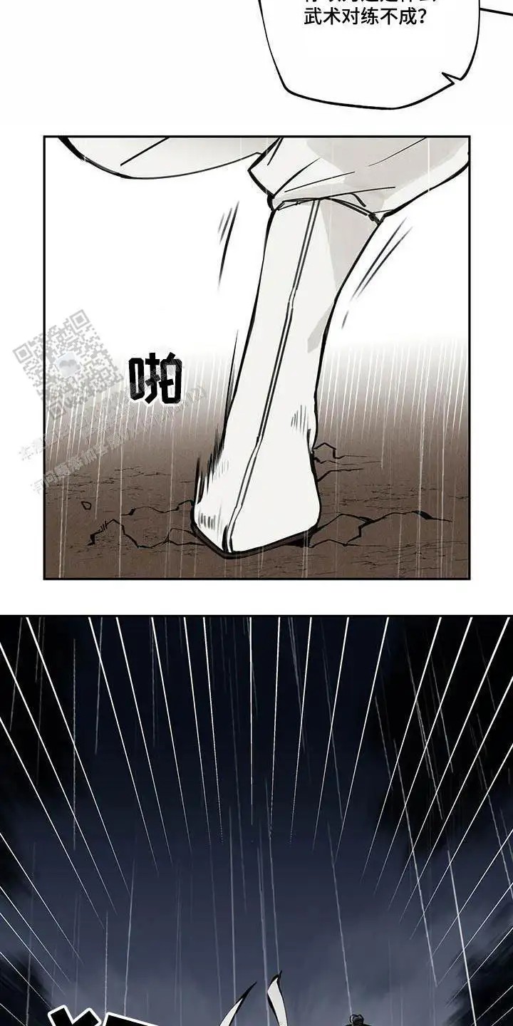 14.jpg