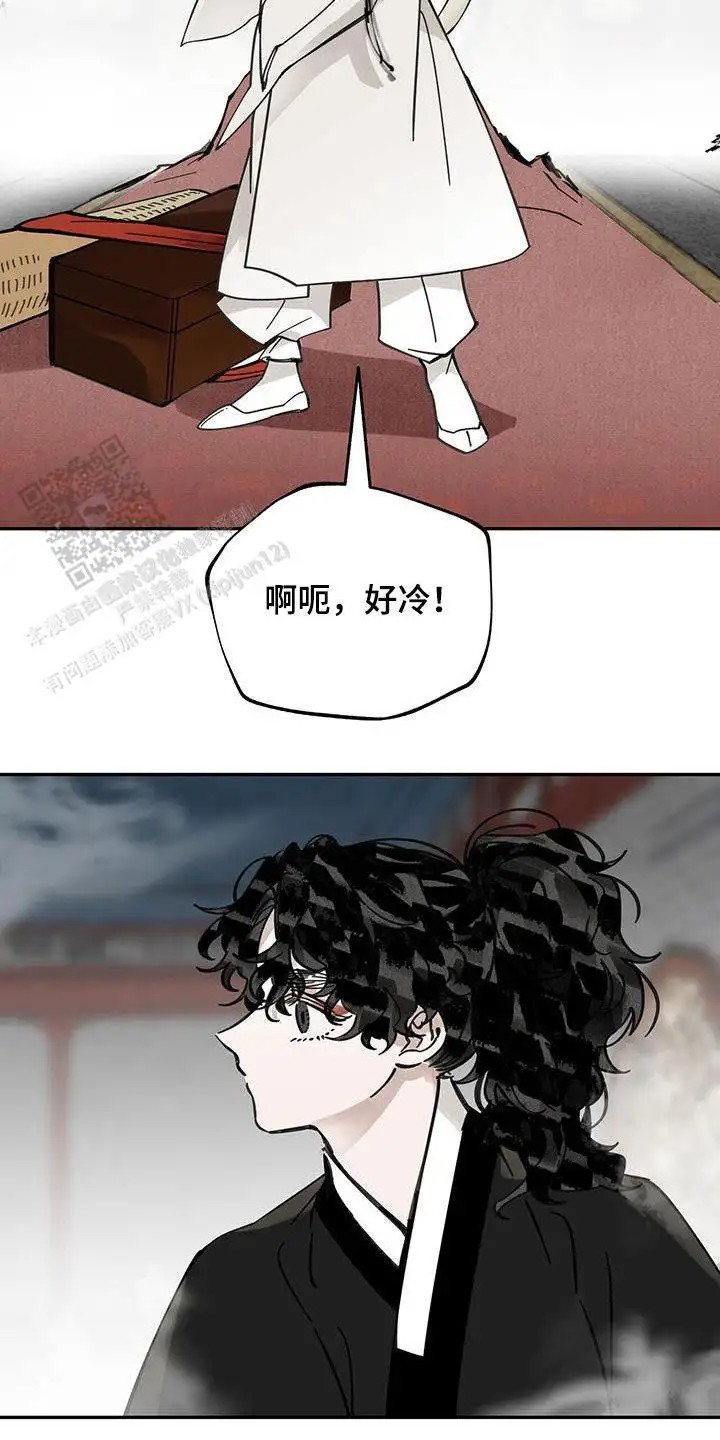 15.jpg