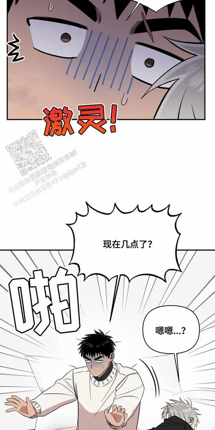 20.jpg