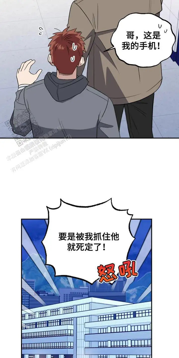 26.jpg