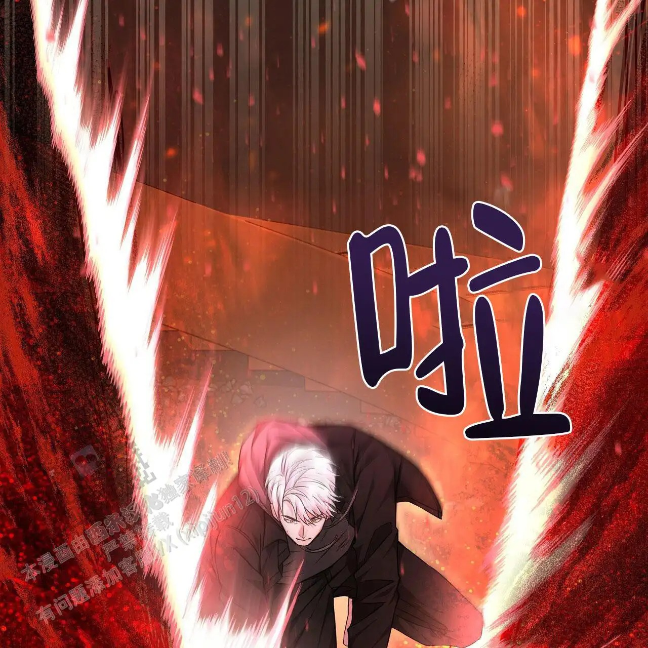 24.jpg