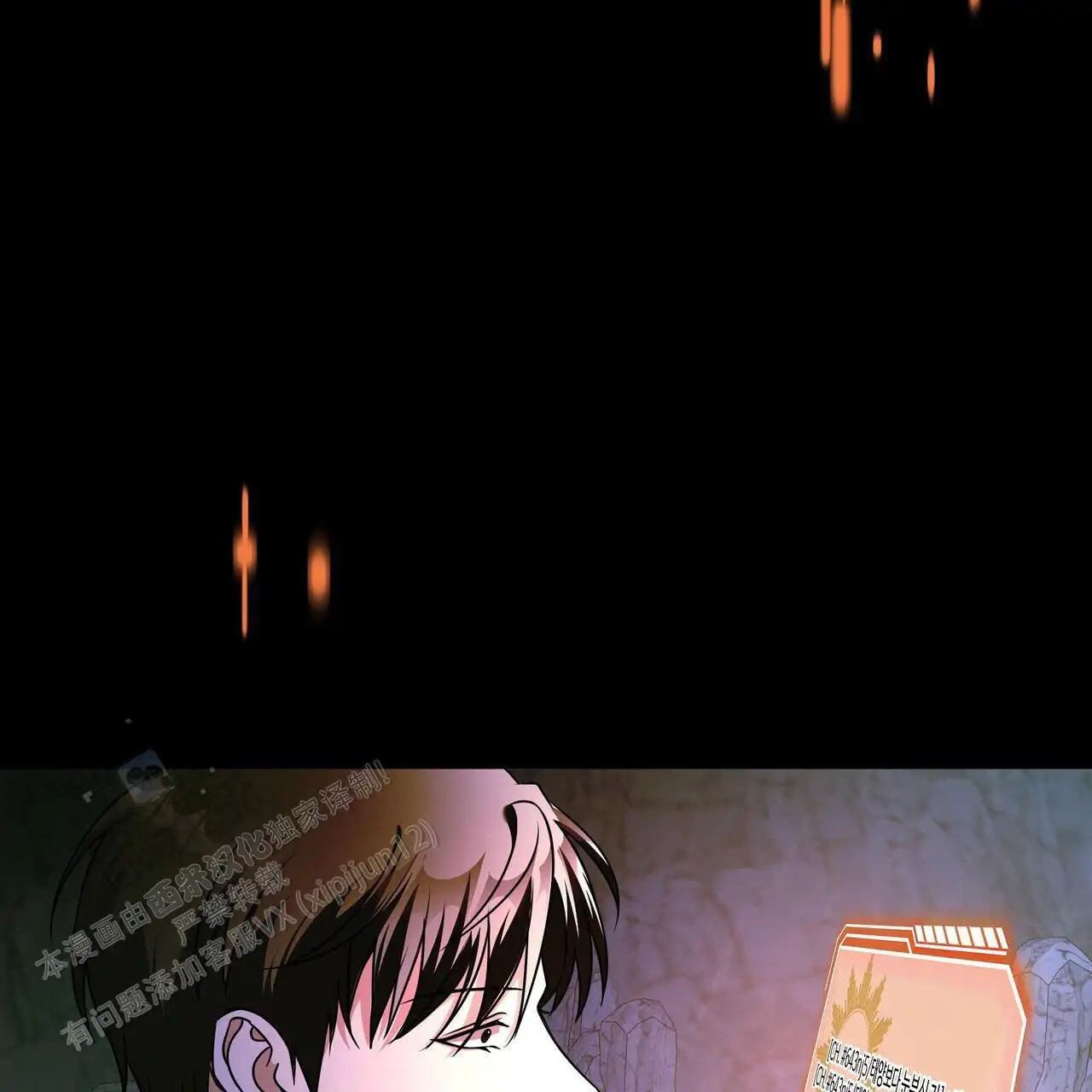 31.jpg